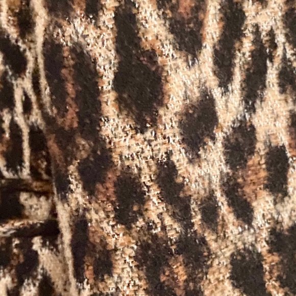 Zara Leopard Print Blazer - Picture 11 of 13
